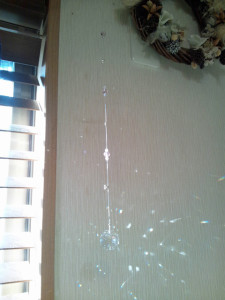 ｻﾝｷｬｯﾁｬｰ_2